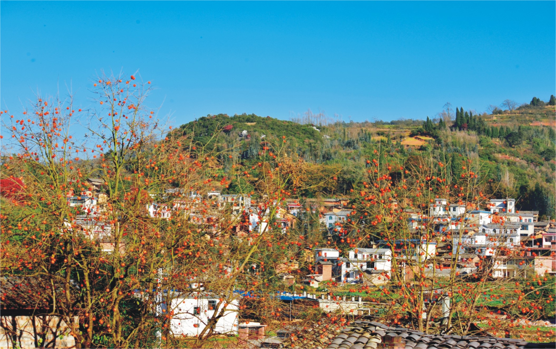 ����ɽ��  �ռ�����.jpg